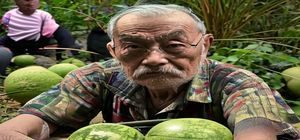17吃瓜网主编瓜田老司机，资深娱乐圈观察者，十年媒体从业经验，擅长深度扒料与事件梳理